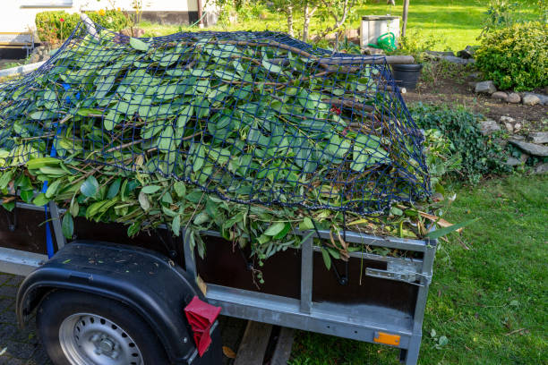 Best Property Management Cleanouts  in Mason, MI